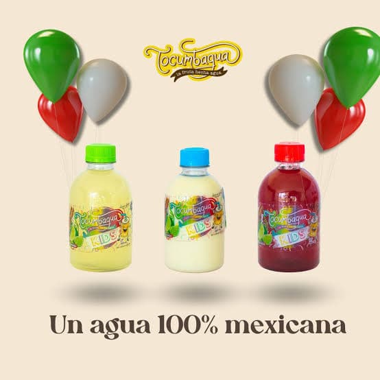 AGUA DE SABOR (255ML)