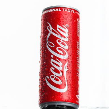 COCA COLA LATA 355ML