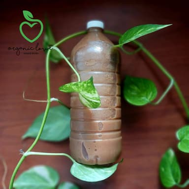 Horchata de Chocolate Abuelita