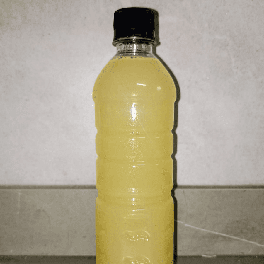 Agua de Guayaba 500ml