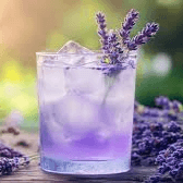 Limonada Lavanda Gde.