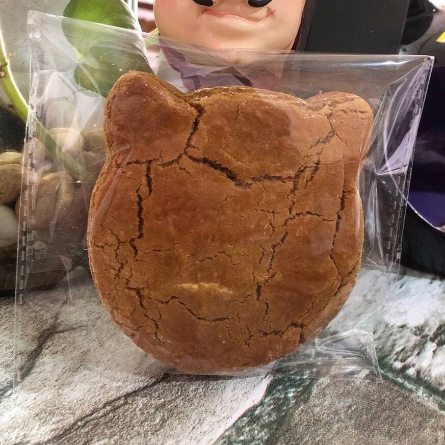 Gatochito Grande