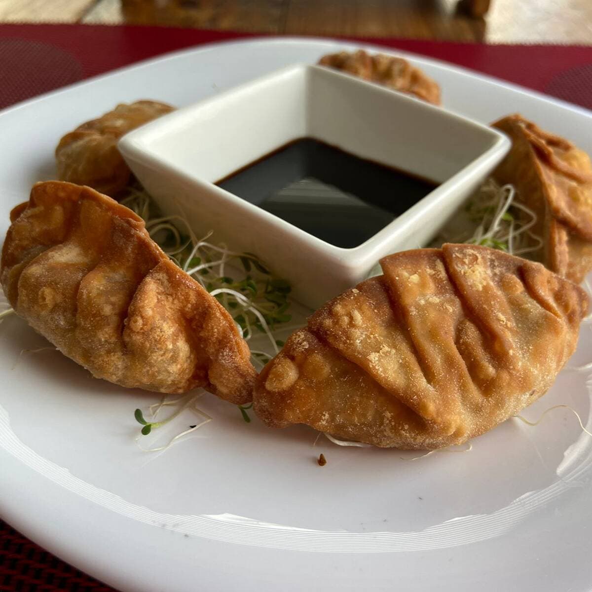 Gyozas Mix cerdo, y res X5 pz