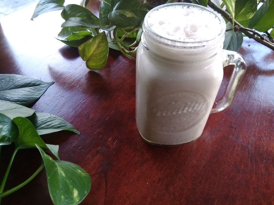 Agua de Avena 500 Ml