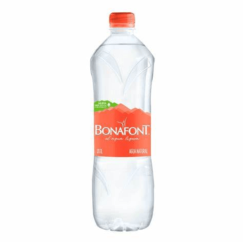 Agua Natural 1 L