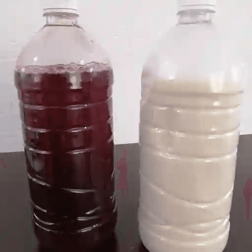 Agua de Sabor 1L