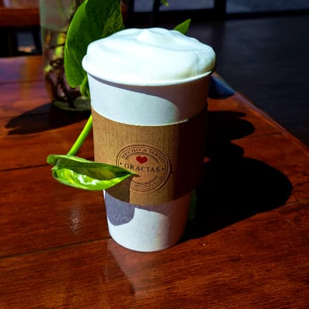 Capuchino Mediano 16 Oz