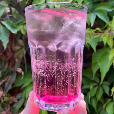 Soda Italiana de Fresa 12Oz (355ml)