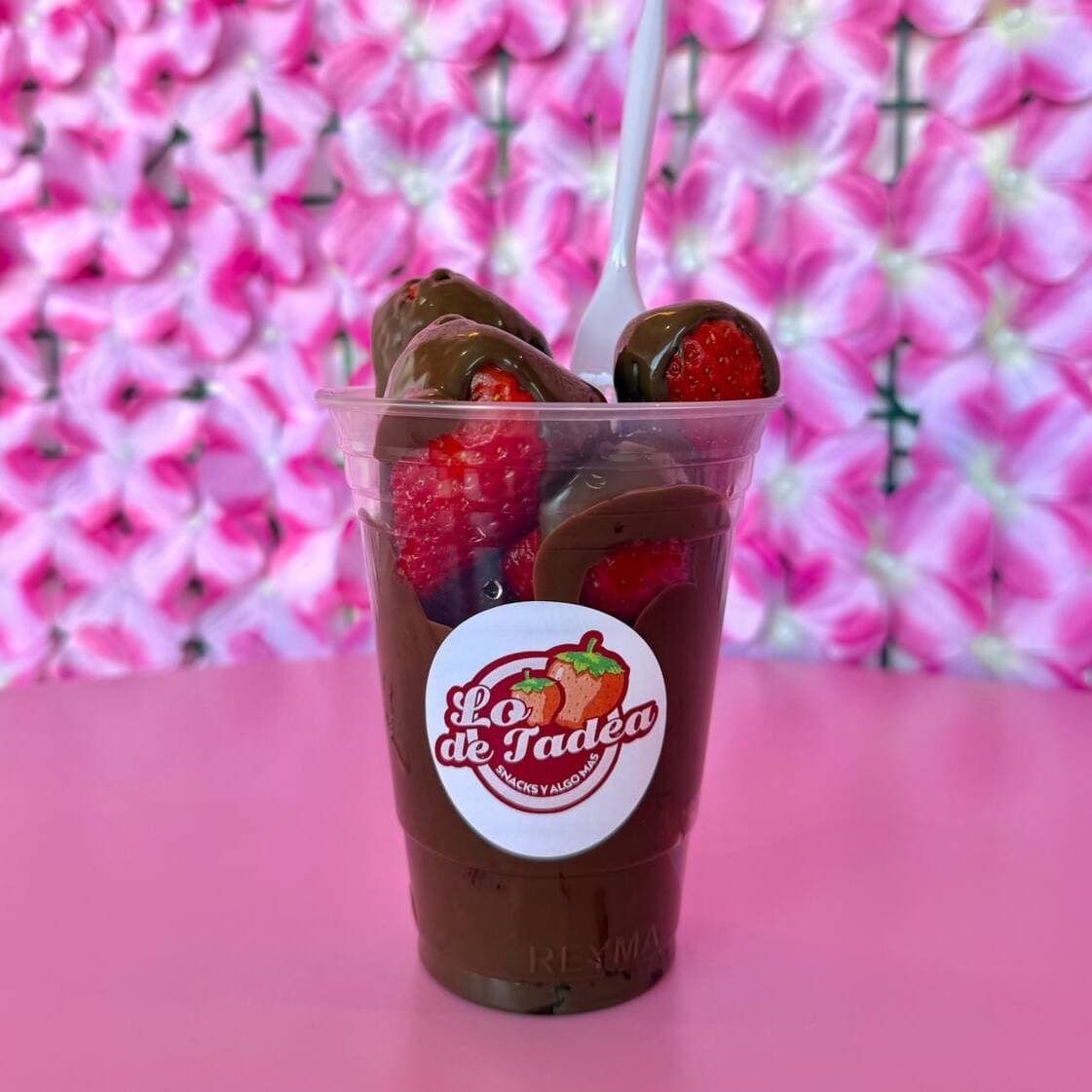 Fresas con Chocolate Chicas