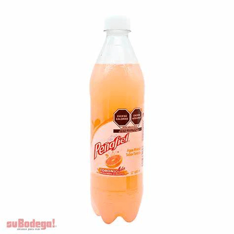 Toronjada 600 Ml