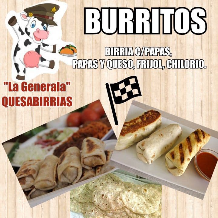 BURRITOS DE BIRRIA