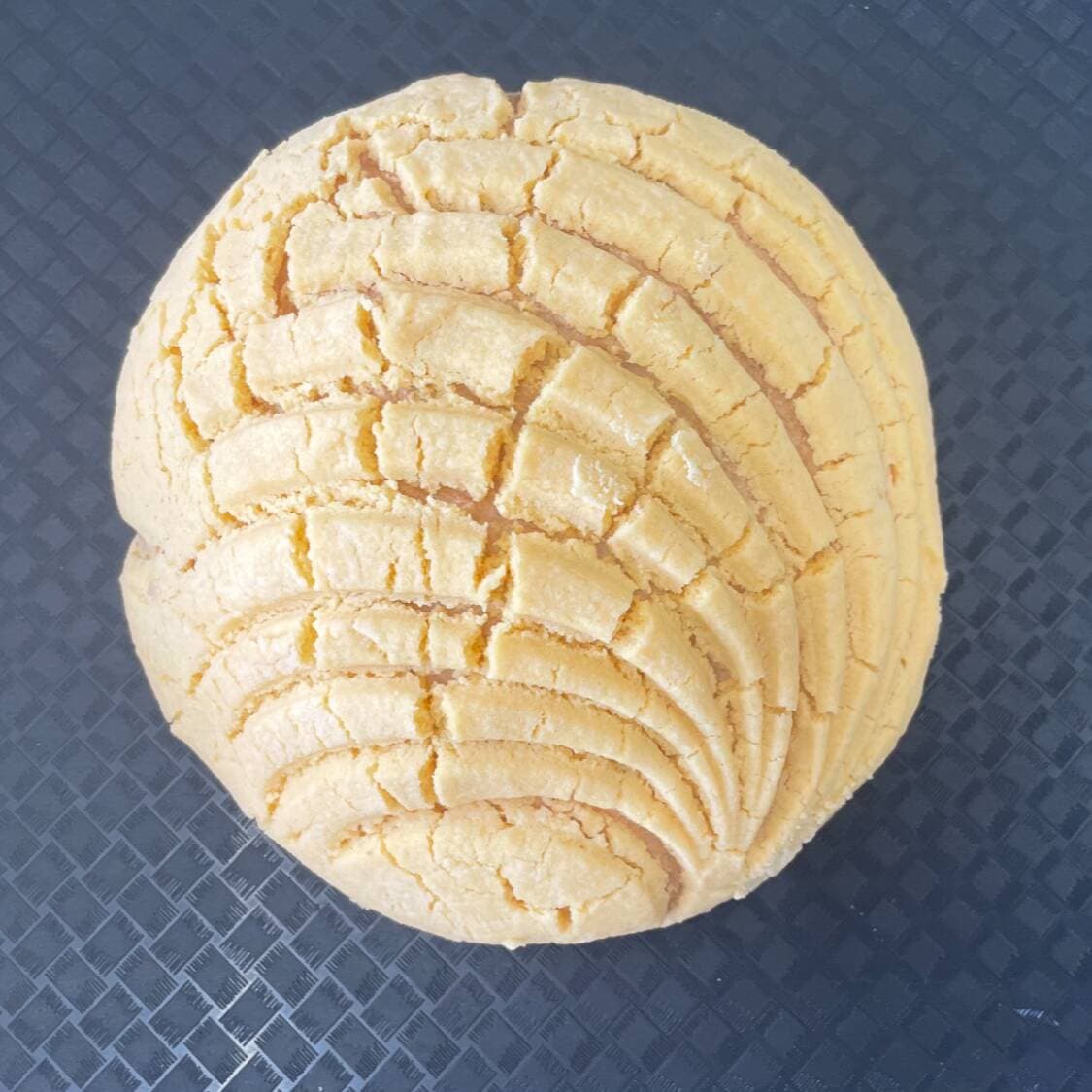 Concha Amarilla
