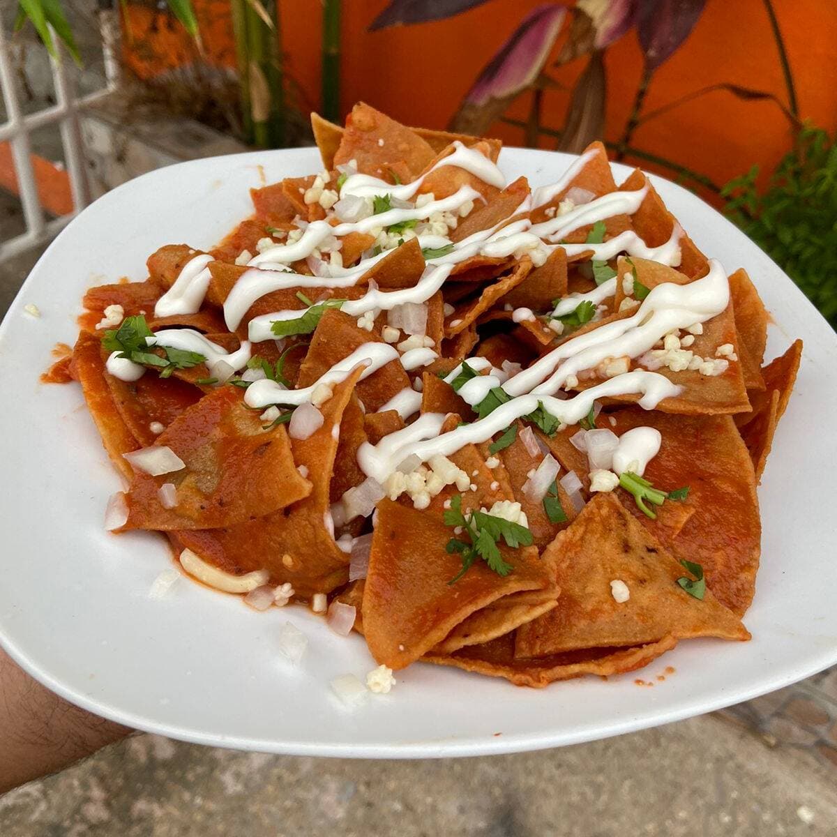 CHILAQUILES EN SALSA MEDIANOS