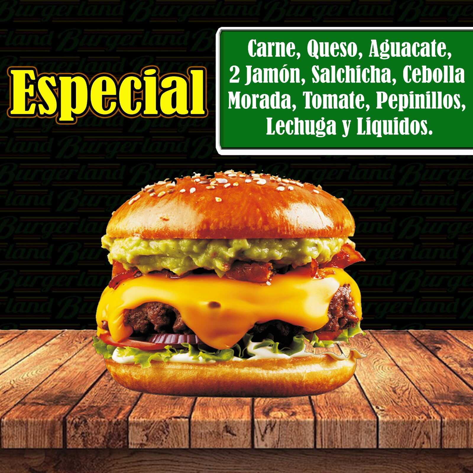 Hamburguesa Especial