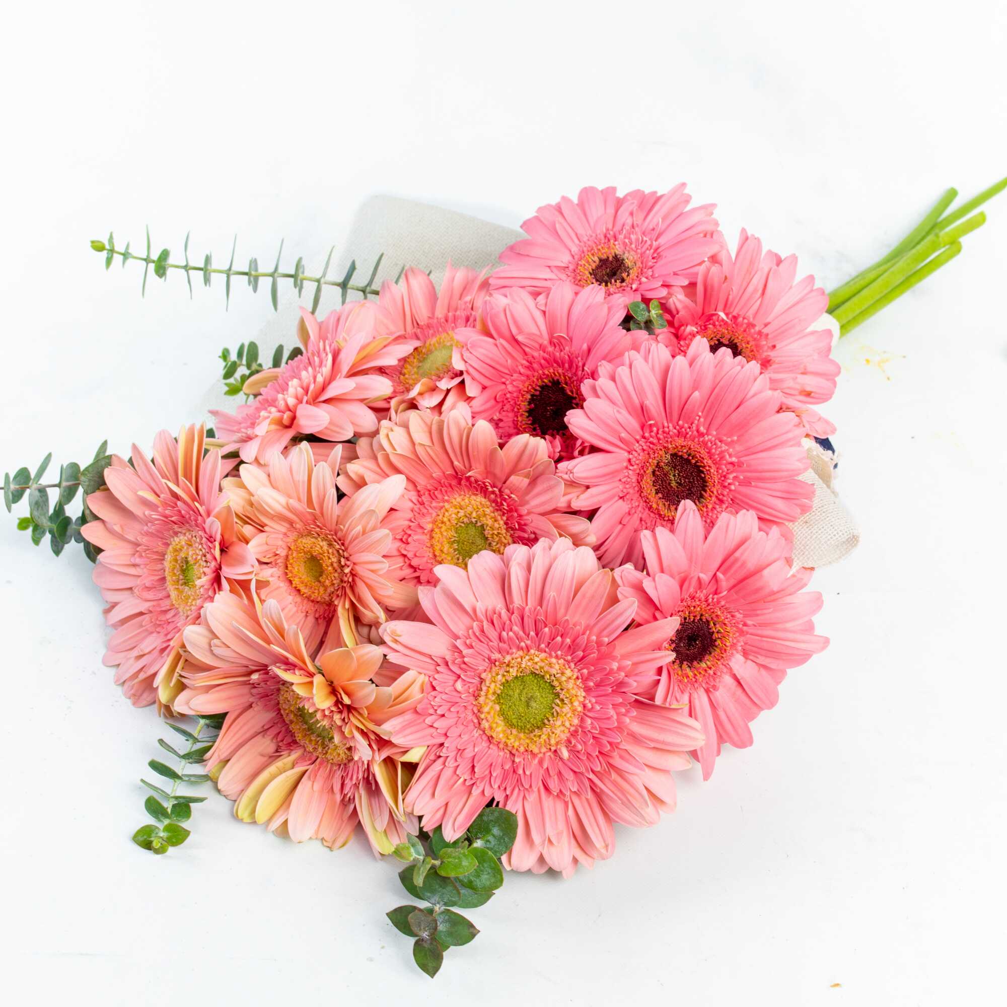 Ramo 12 Gerberas Rosas