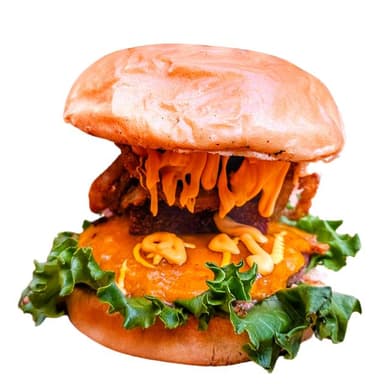HAMBURGUESA COSTEÑA