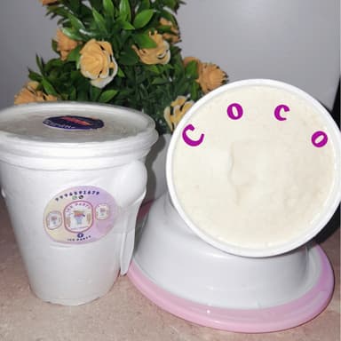Helado Gourmet Coco