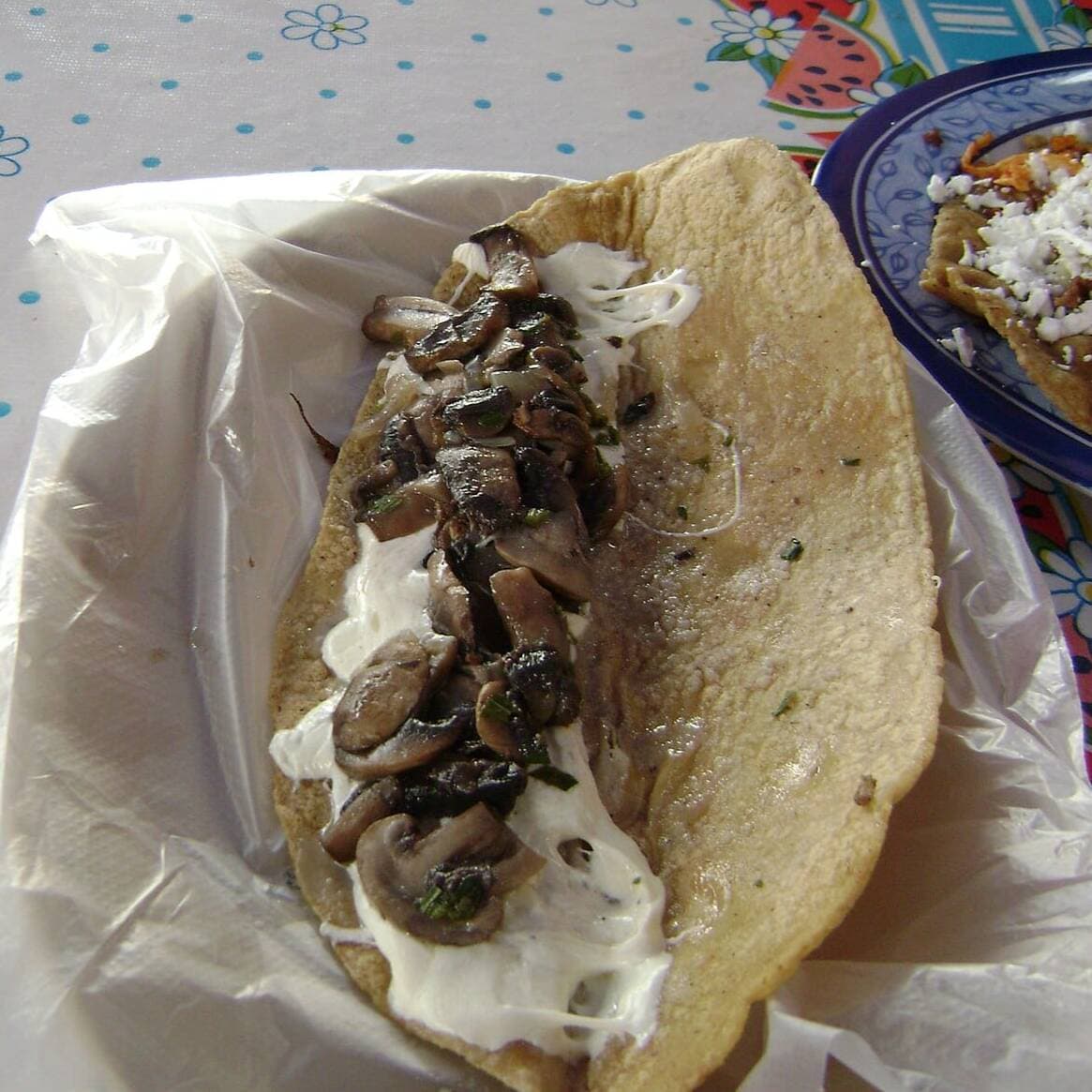 QUESADILLA DE CHAMPÑON