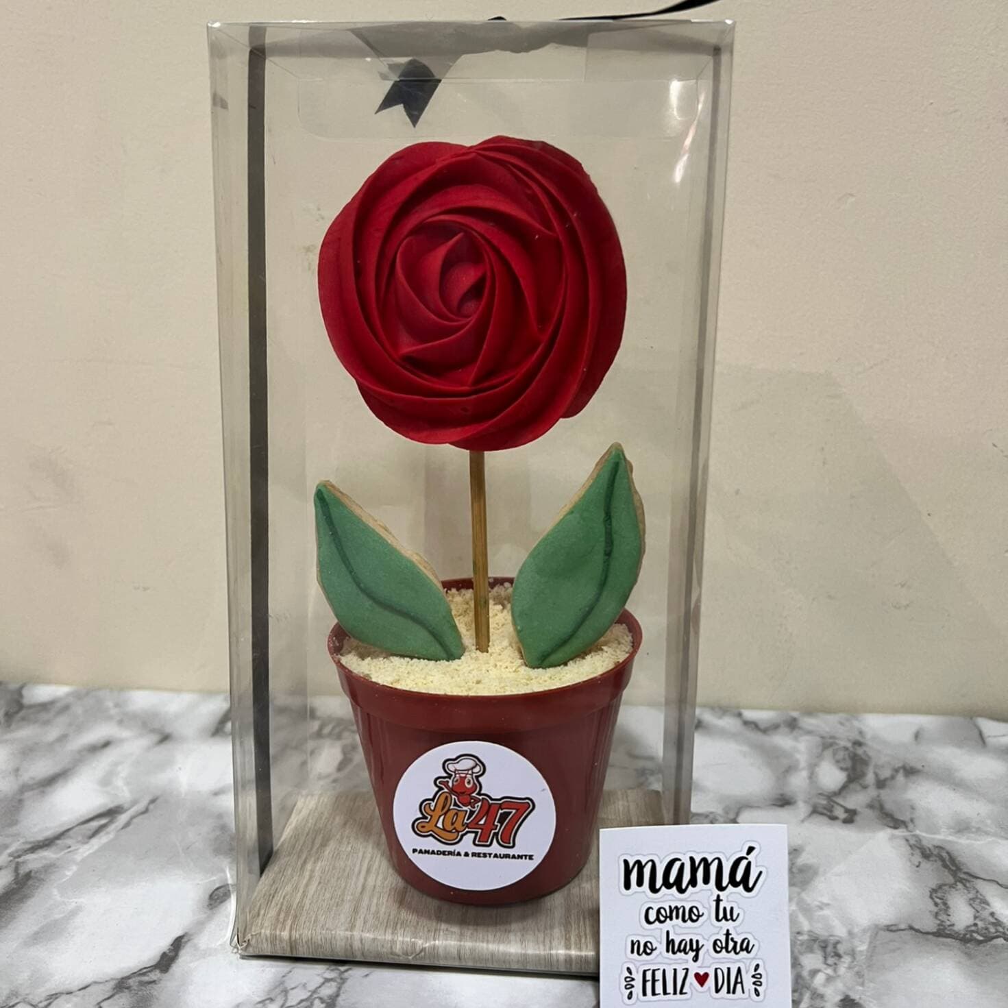 Maceta de Rosa
