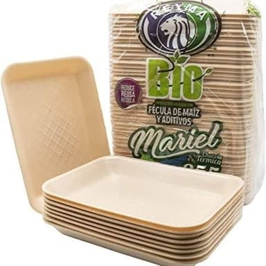 Plato desechable grande