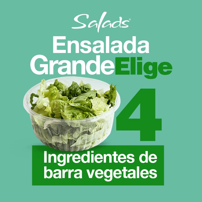 Ensalada Sin Proteína Grande