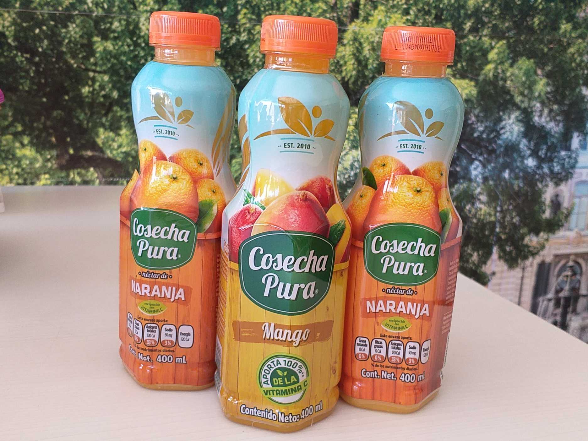 Jugo Embotellado 400 ml