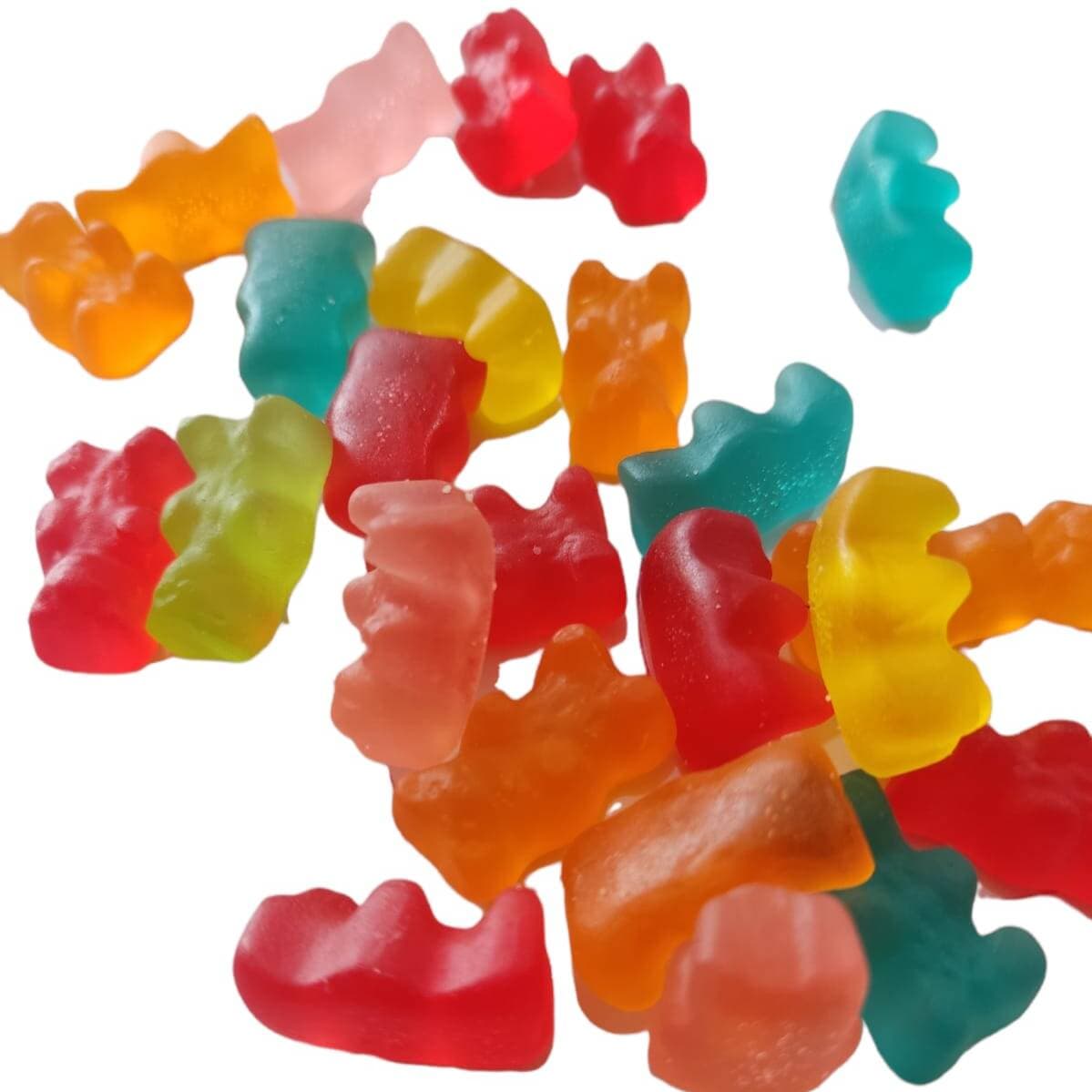 Panditas