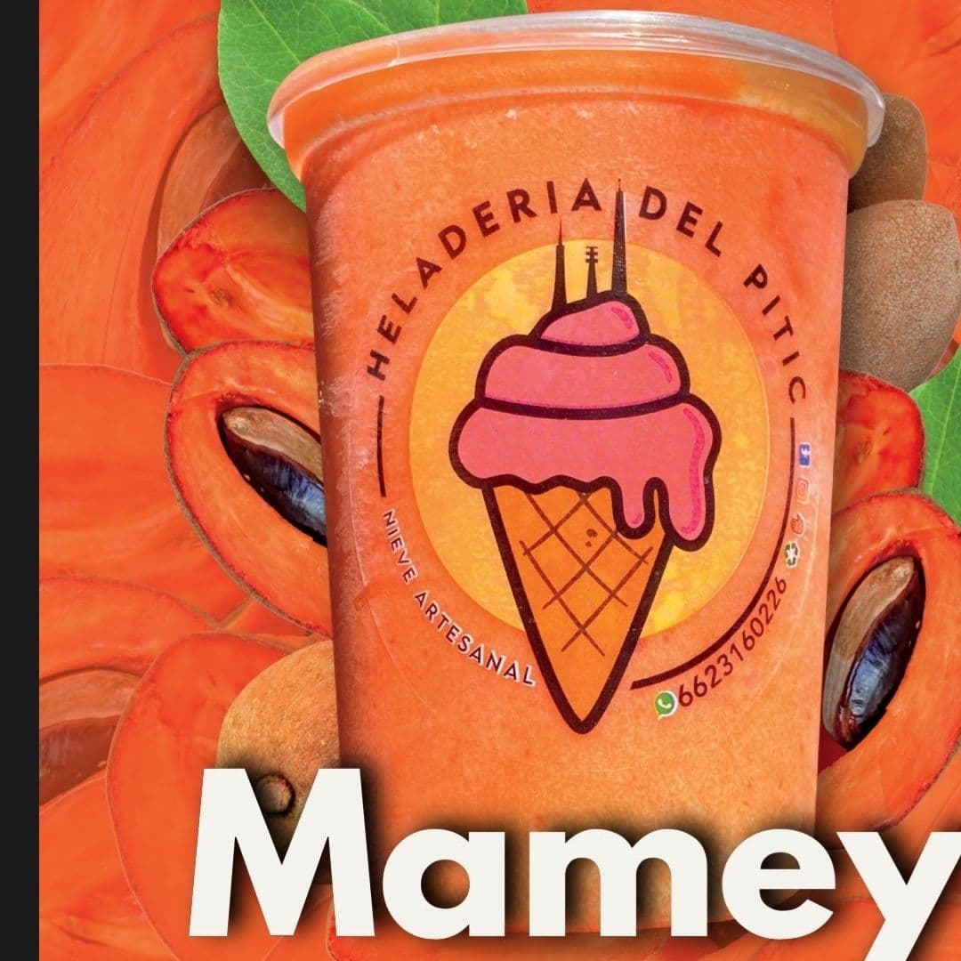 Nieve de Mamey 1 Lt *