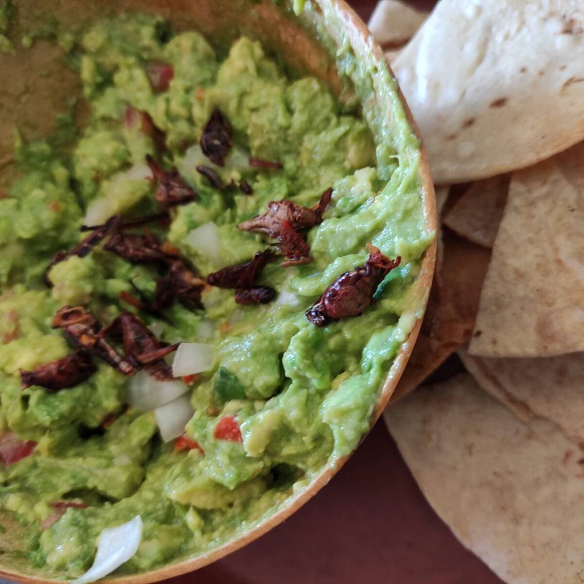 Orden de Guacamole con Chapulines