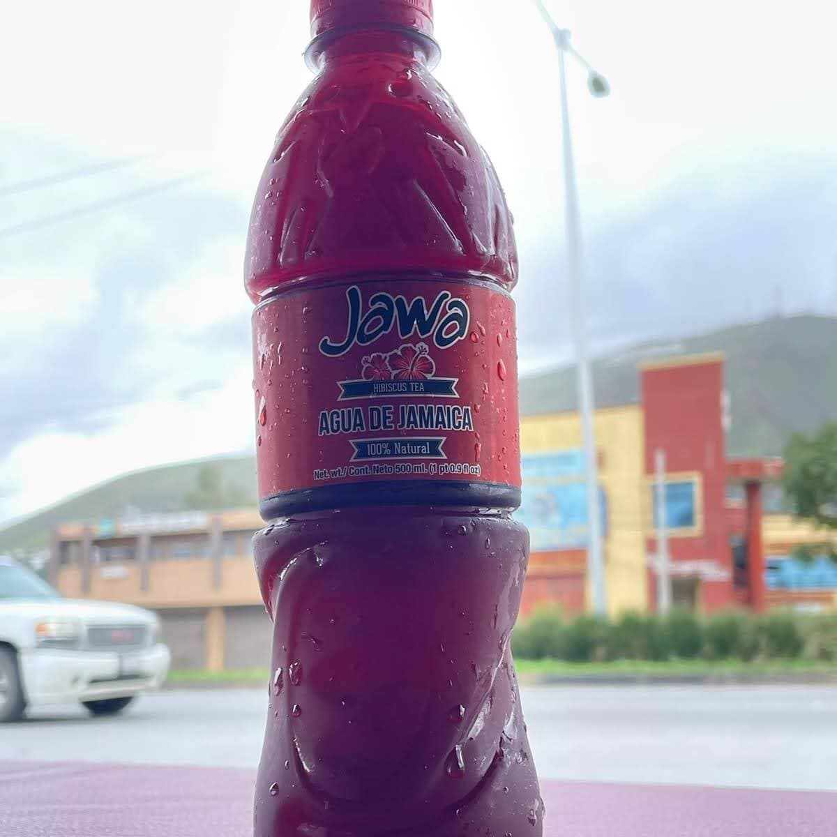 Agua de Jamaica 500ml