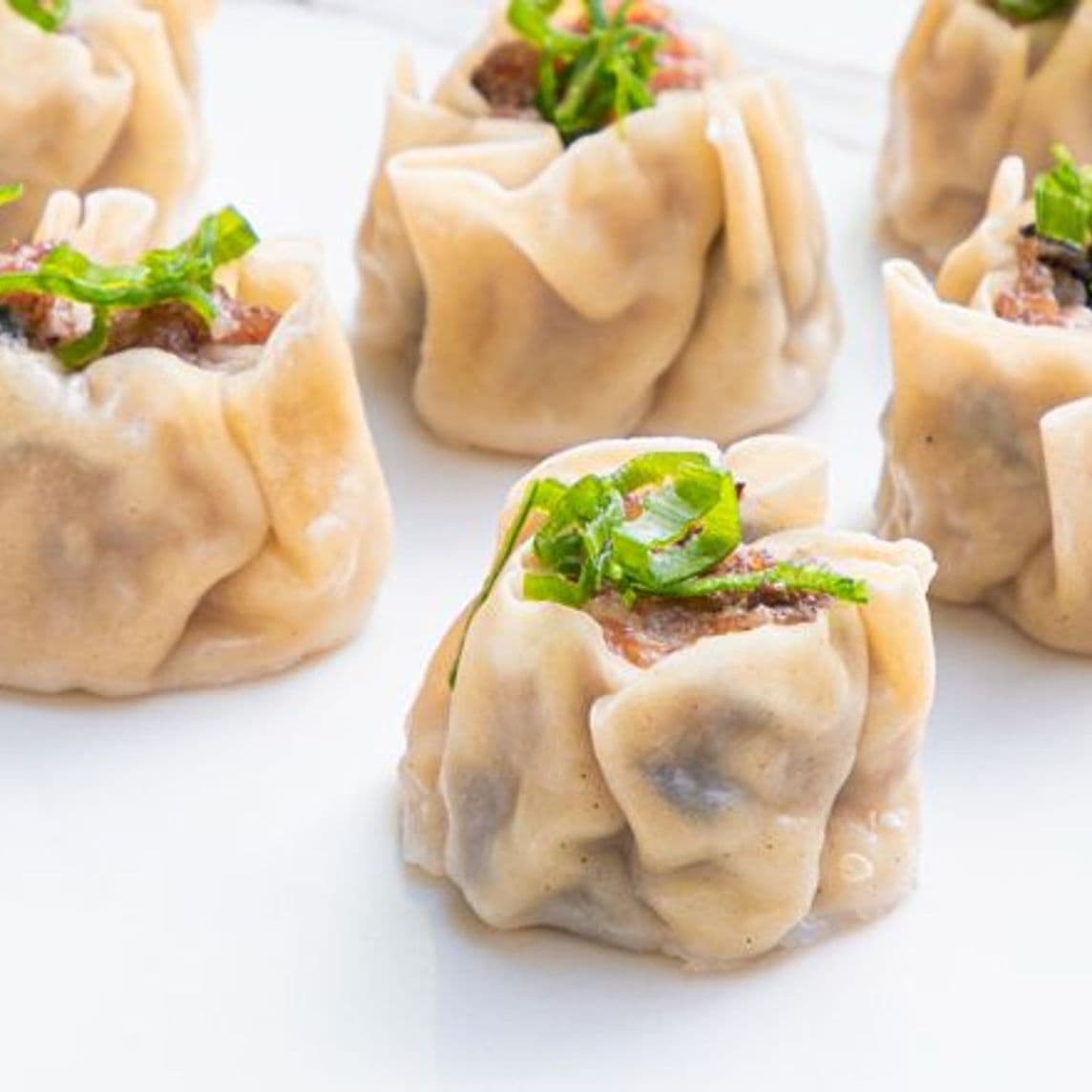 Dumpling Cerdo-Camarón/6 pz