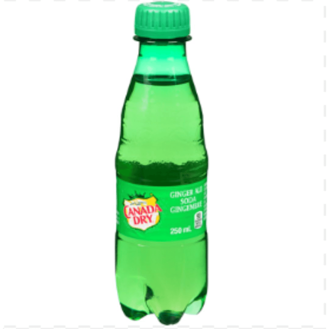 Ginger Ale Regular 250 ml