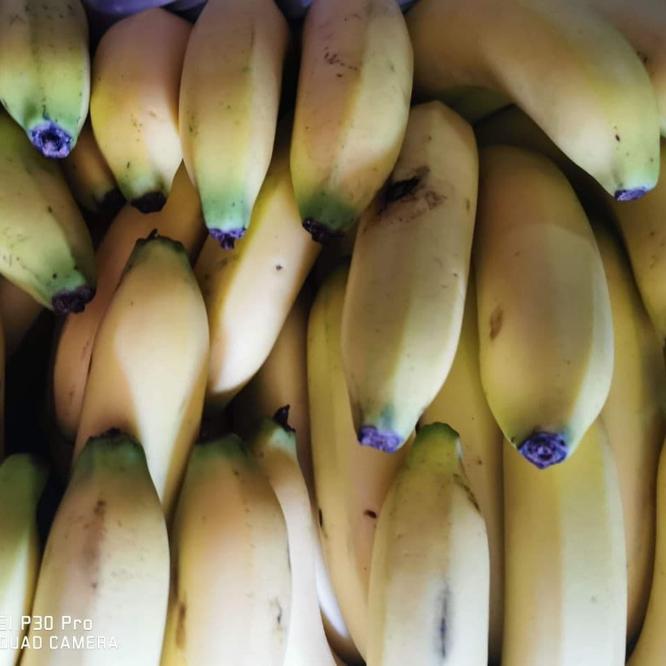 PLATANO TABASCO 750 G