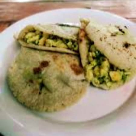GORDA HUEVO VERDE