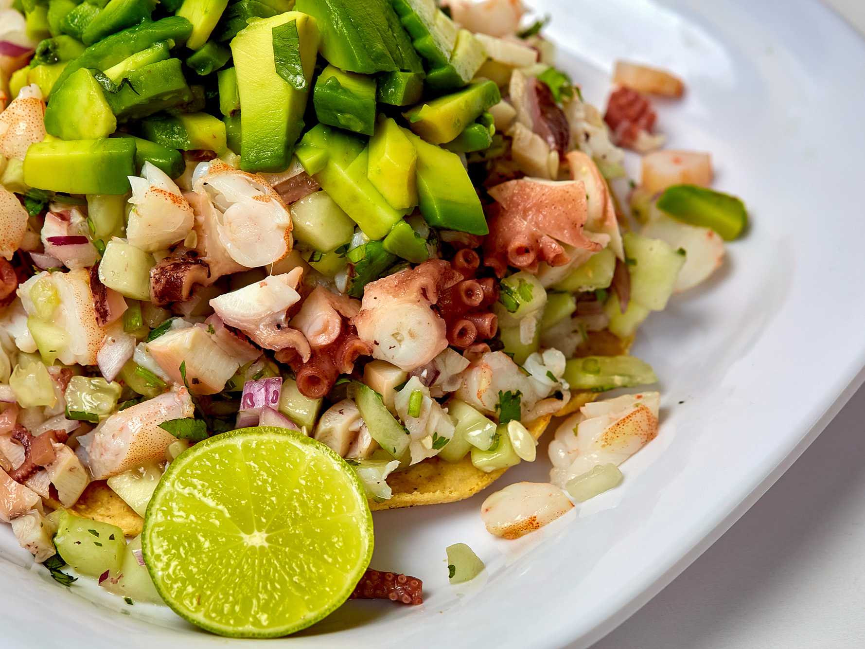 TOSTADA PRIMAVERA JR