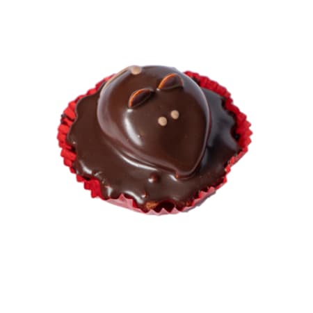 Raton de Chocolate