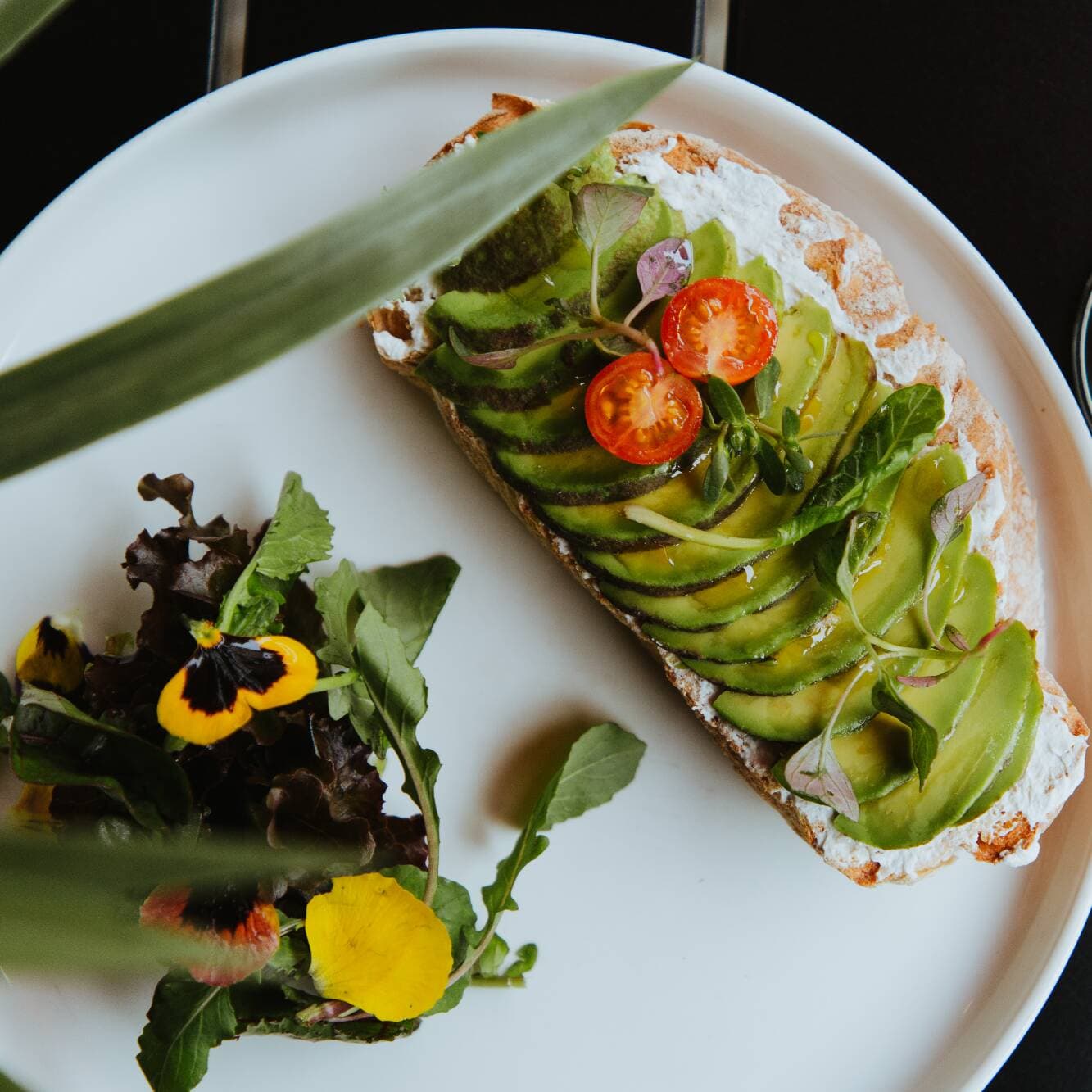 Tosta de Aguacate