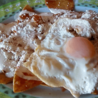 Chilaquiles rojos con 1 huevo