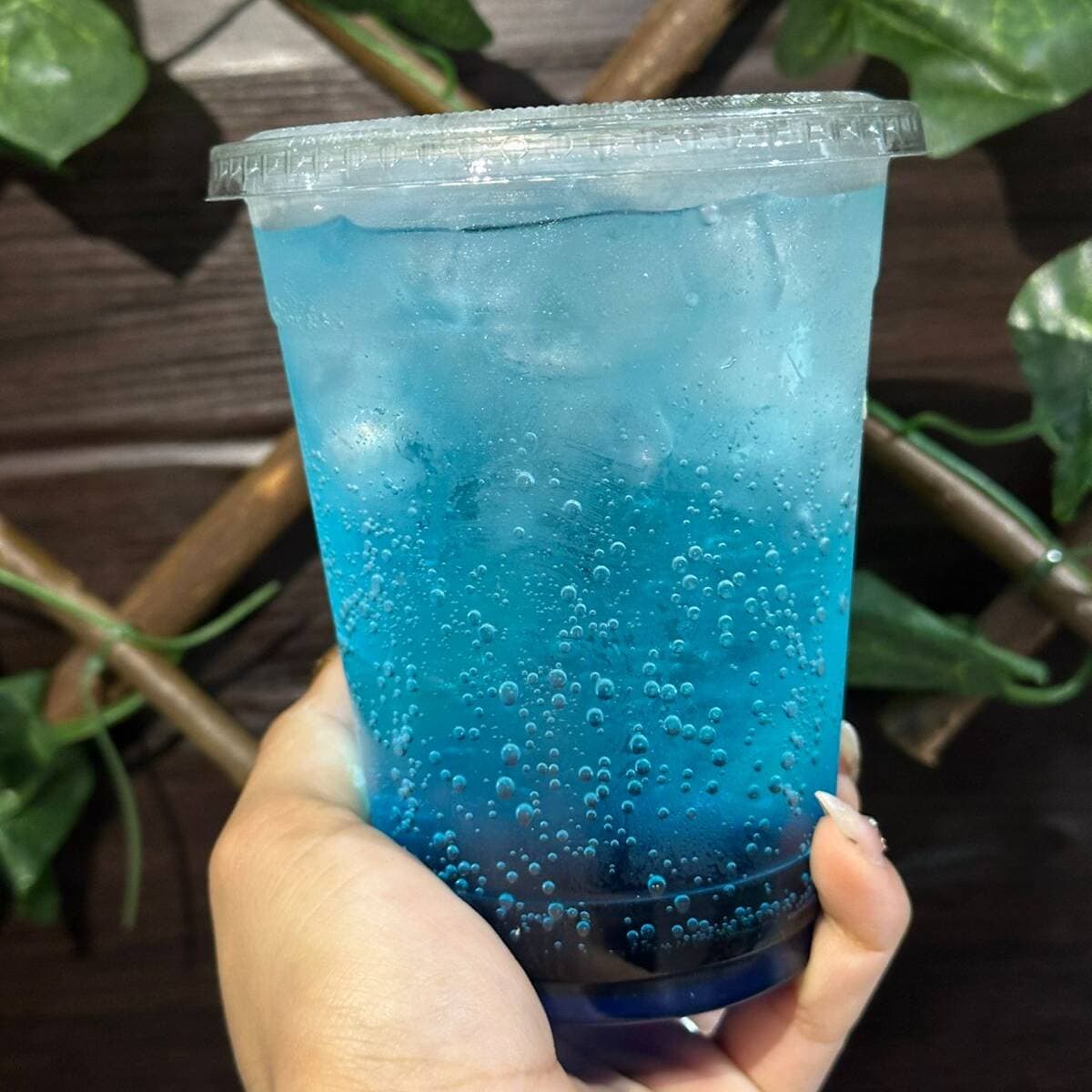 Soda Italiana