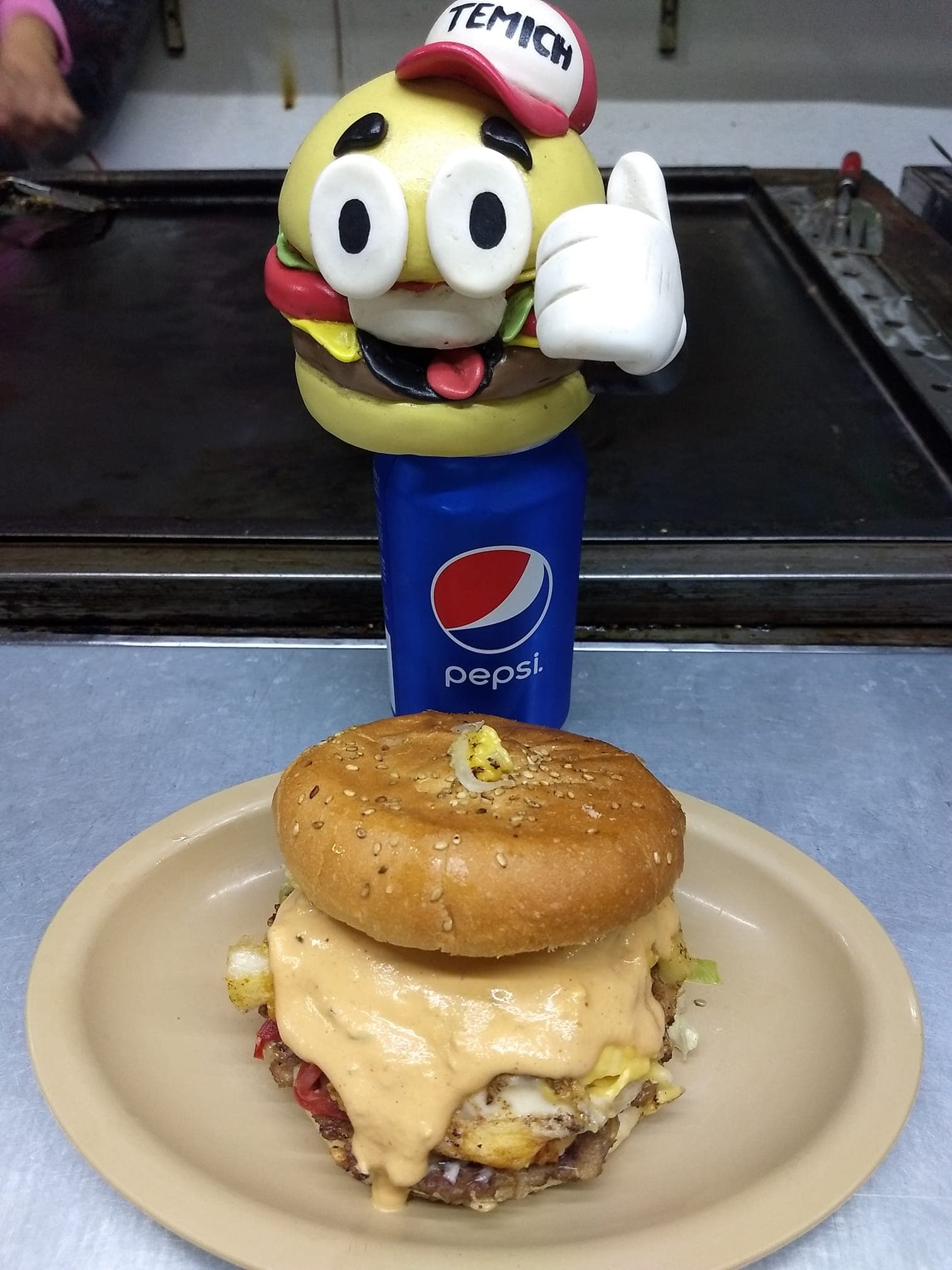 Temich Burger