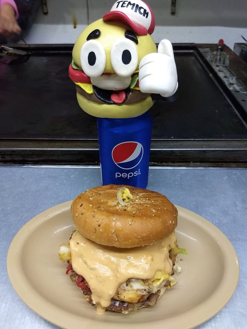 Temich Burger