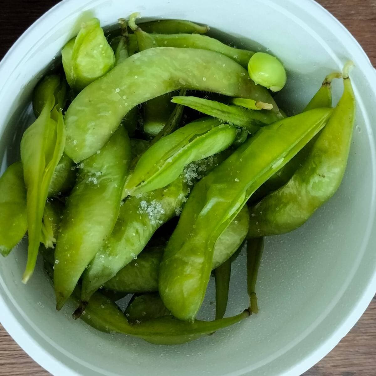 EDAMAME