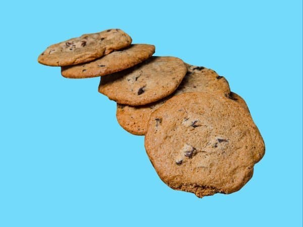 Chocolate chip cookie