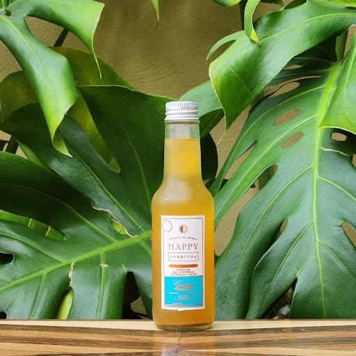 Kombucha Happy 125ml