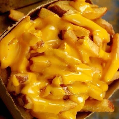 Fusion Fries