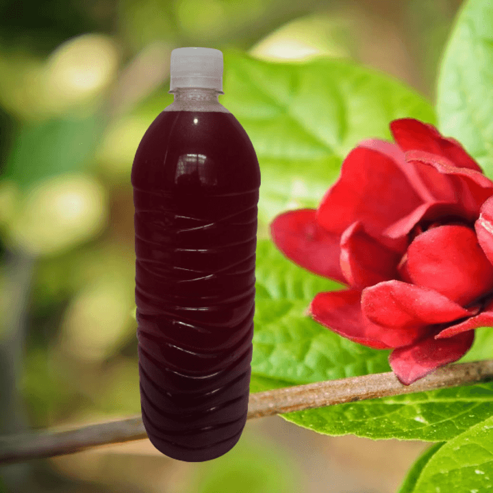 AGUA DE JAMAICA