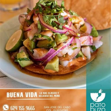 Ceviche Buena Vida
