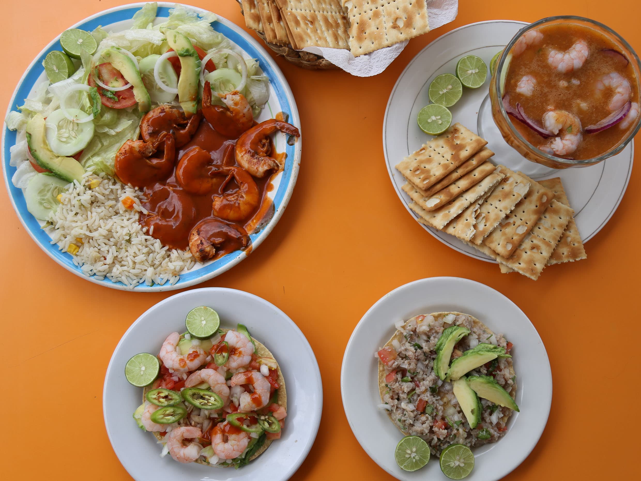 MARISCOS LA TORTUGA