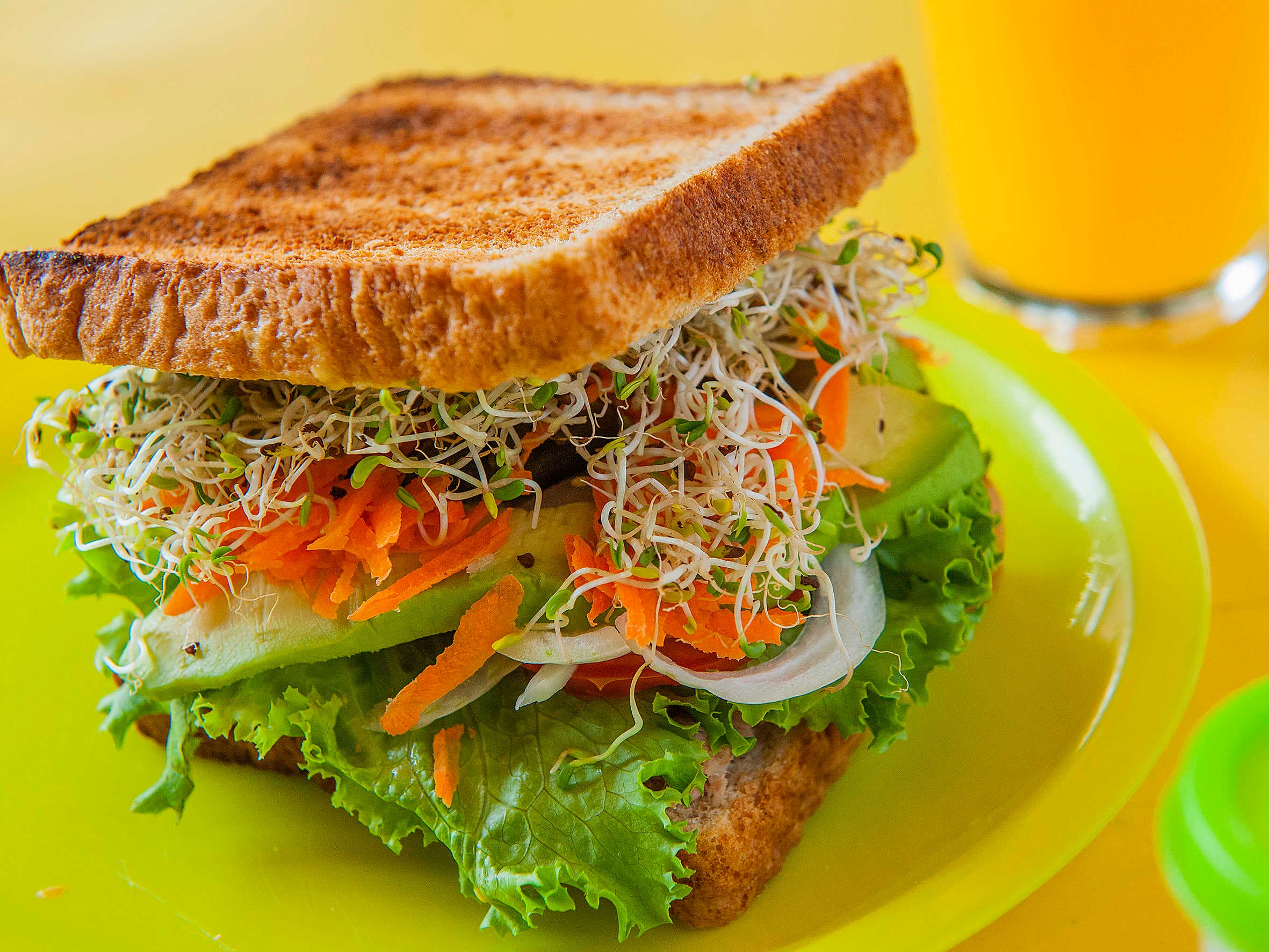 Sándwich Especial