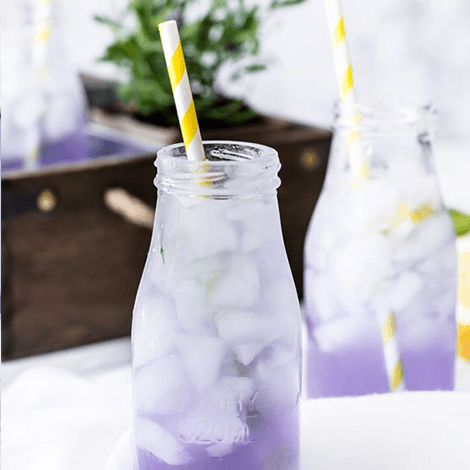 Lavanda (16 oz)